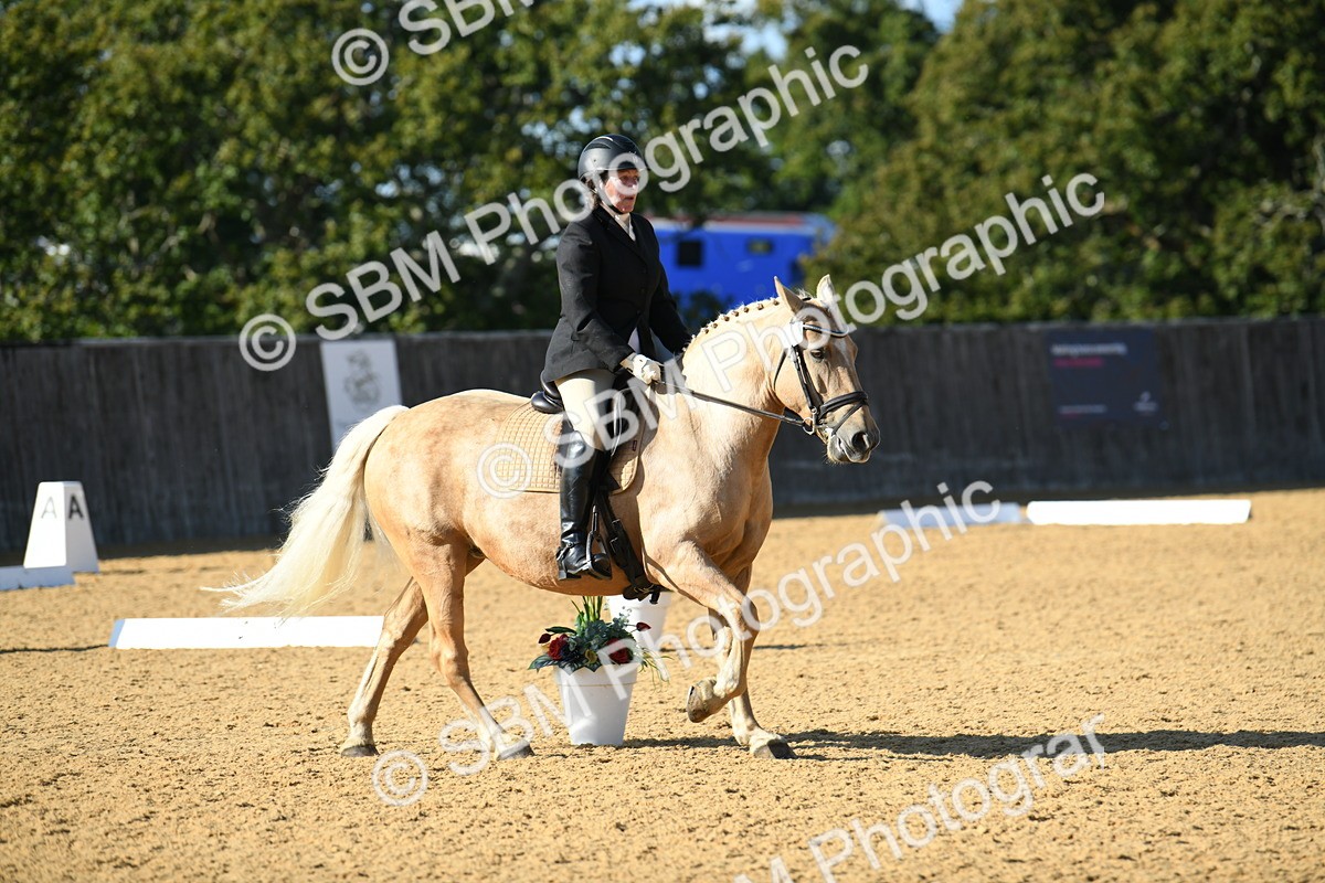 SBM_27249 - D16 - Small Tour Championship - Novice 28