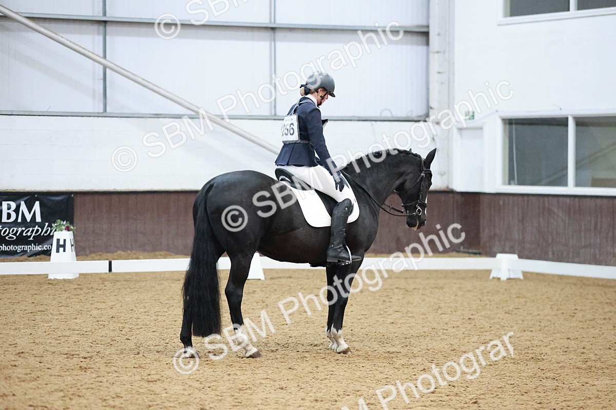 SBM_004635 - Ring 3 - International -  Working Hunter Classes 23-2-25