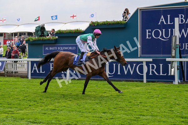 160524-Race 3-Bluestocking-5669 - Race 3 3.15pm  Al Basti Equiworld Dubai Middleton Fillies' Stakes