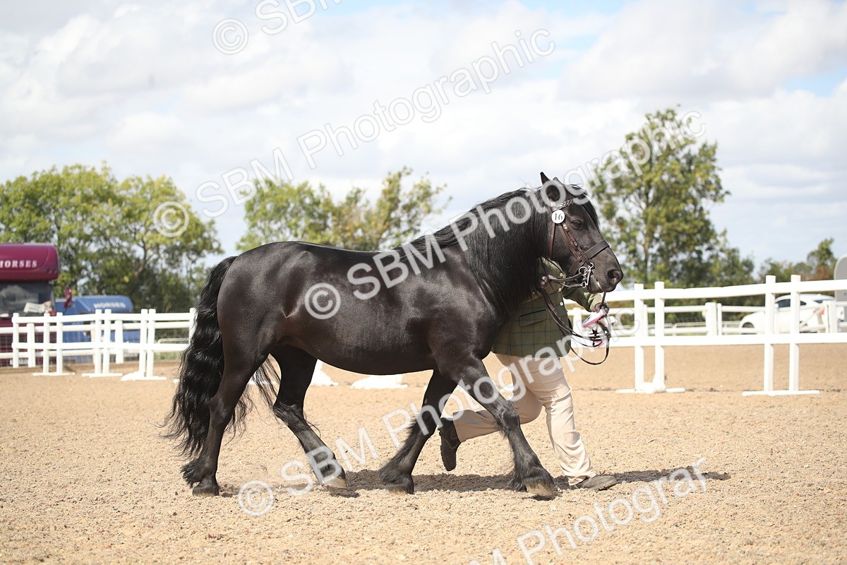 SBM_23186 - Class 606 - 2026 - Area - IH Pre Vet