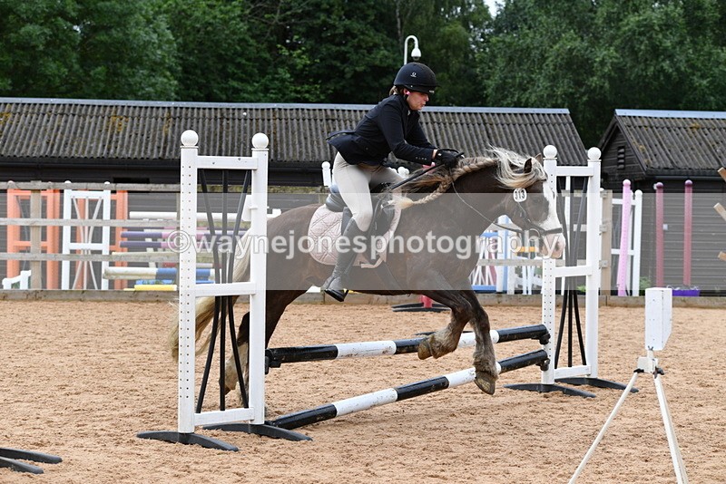 WJ5_6310 - Club 50cm