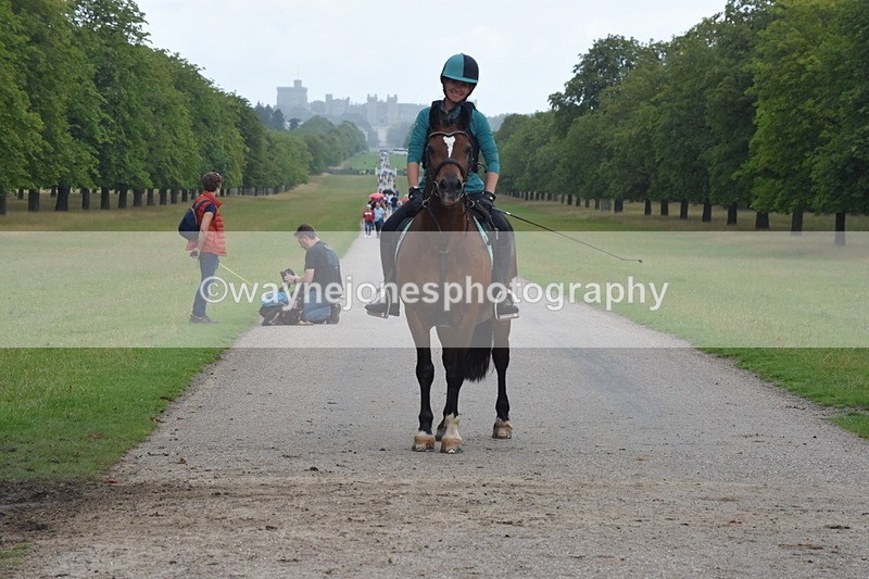 TT3_0168 - Time at Crossing 13:17 to 14:48