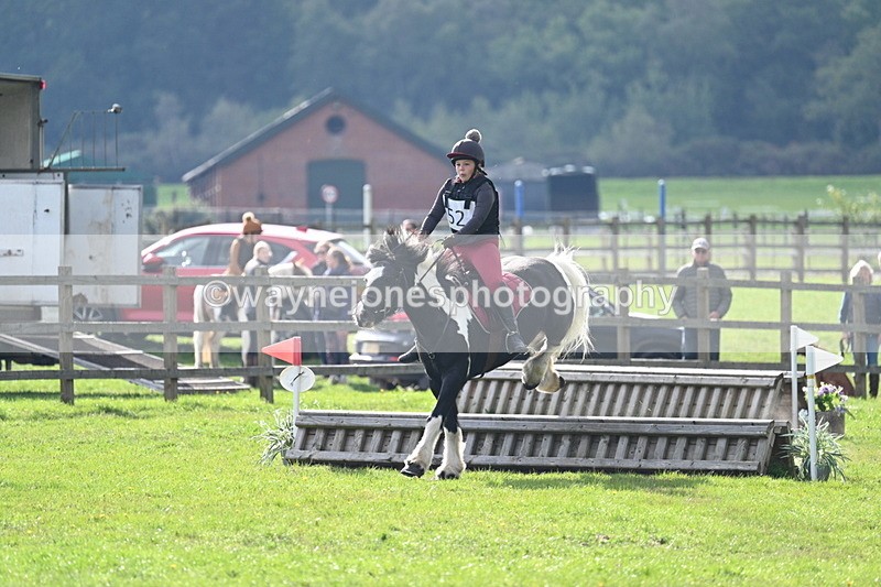 WJ7_3707 - 40cm Time 10:26 to 10:42