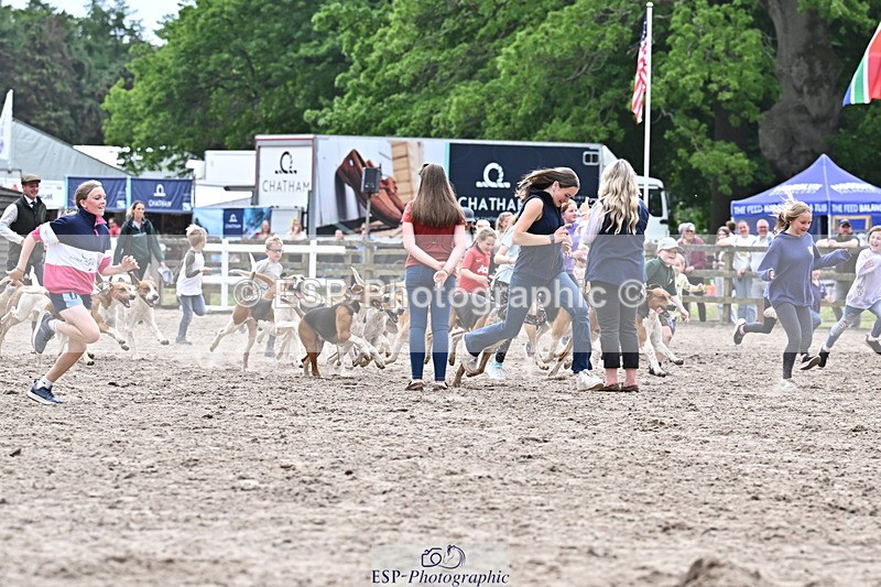 250524A-152837-12775 - East Devon Hounds