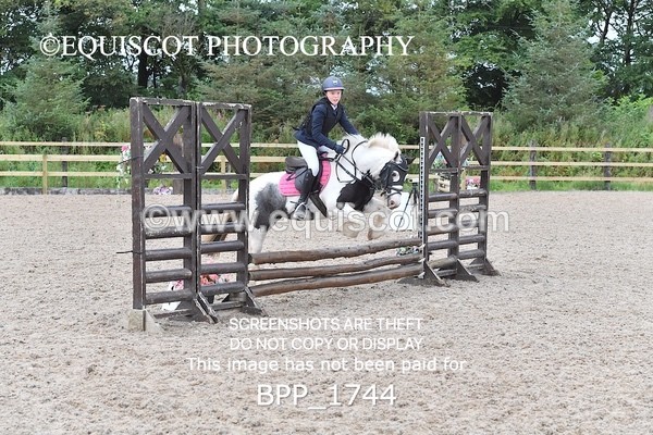 BPP_1744 - DERBY CLASS 4 - 50CM