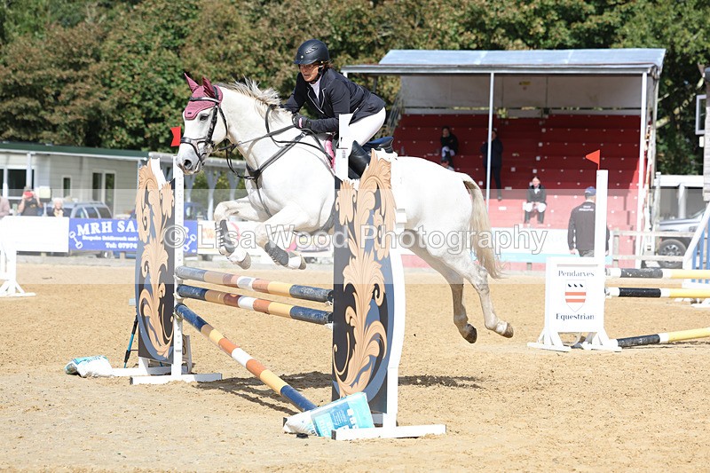 3E7A9420 - Class 9: Senior British Novice/90cm open