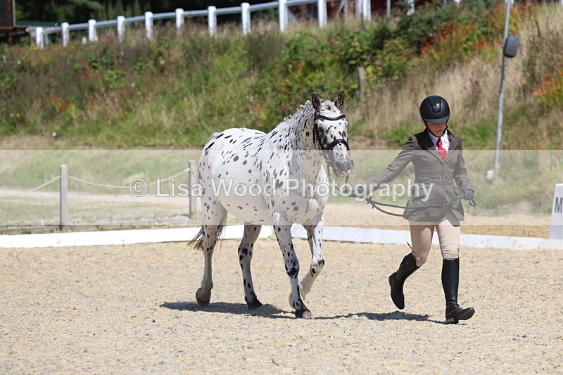 3E7A9432 - Class 29: Veteran In Hand