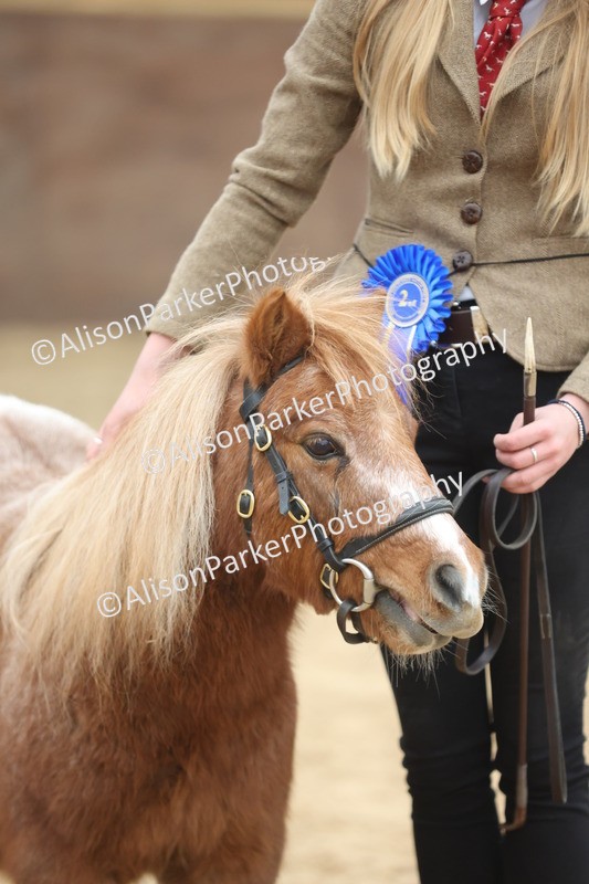 20251109-0390 - Class 14 - Geldings 4 Years and Over