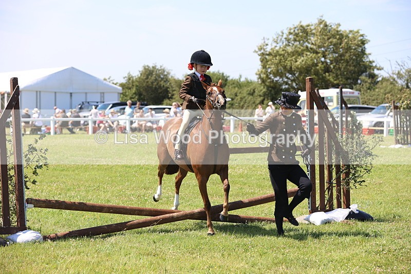 JPP_2179 - Class 20: Tiny Tots Working Hunter Pony