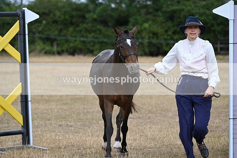 WJ6_8065 - Class 10 Coloured in Hand