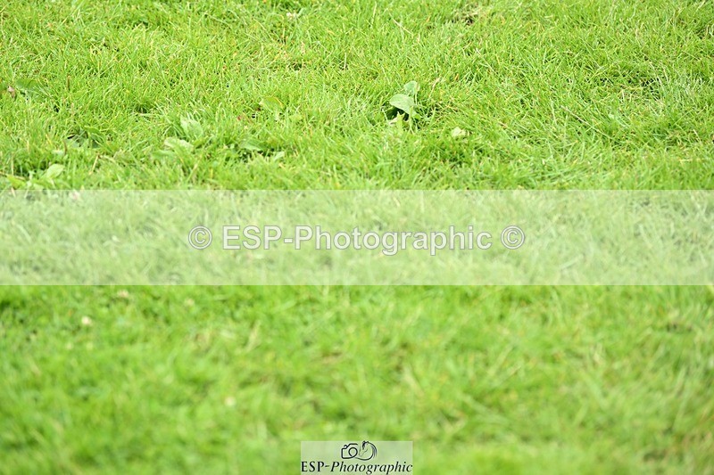 240705-134346-11242 - Cls 17 Newcomers 2nd R Jump Off and P