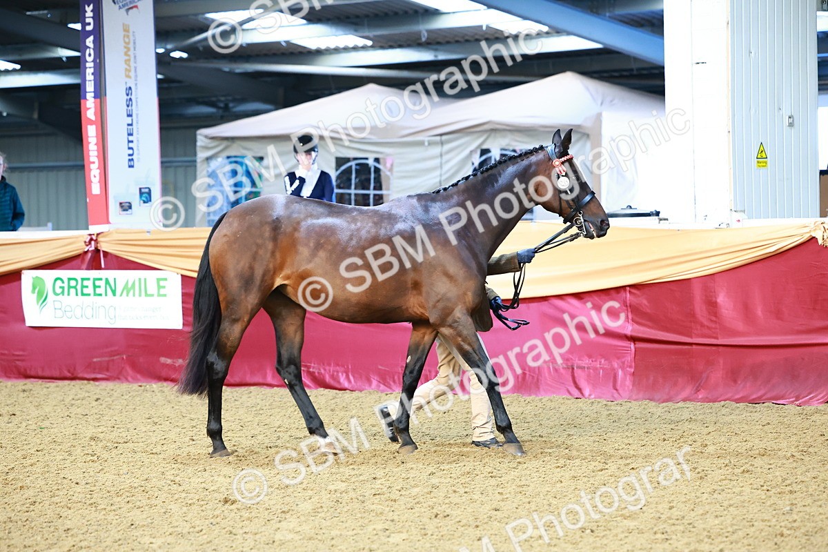 SBM_21748 - Class 901 - Supreme Final - IH  Diamond