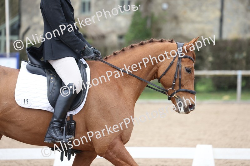 20260301-0294 - Class 3 - Novice 4