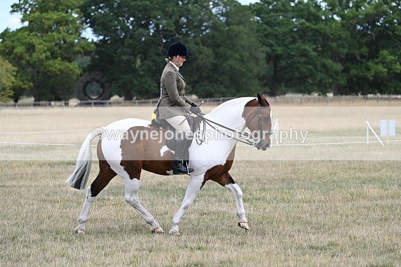 WJ7_4872 - Class 12 Ridden Cob
