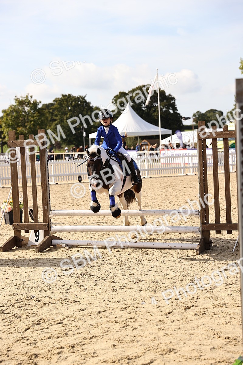 SBM_61906 - J12 - Junior Pony 55cm Championship