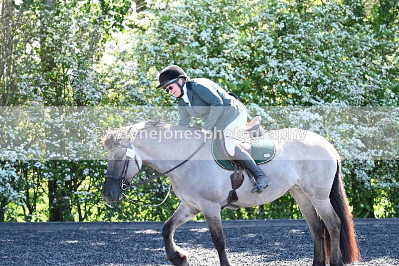 WJ7_9499 - Time 12:10 to 12:21