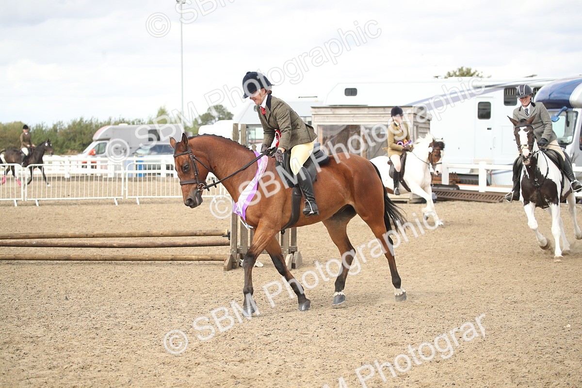 SBM_15256 - Class 506a - Working Veteran - 50cm (15-19)
