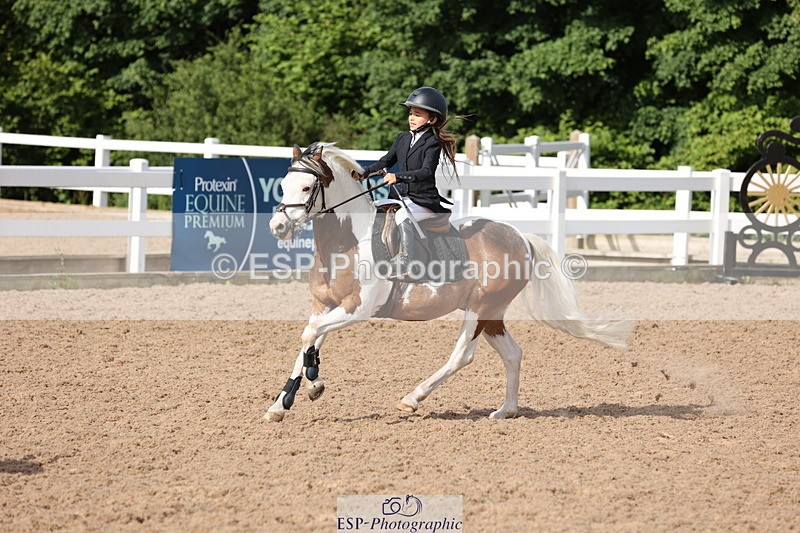 240629A-090055-02811 - Cls 16 British Novice and 80cm Open