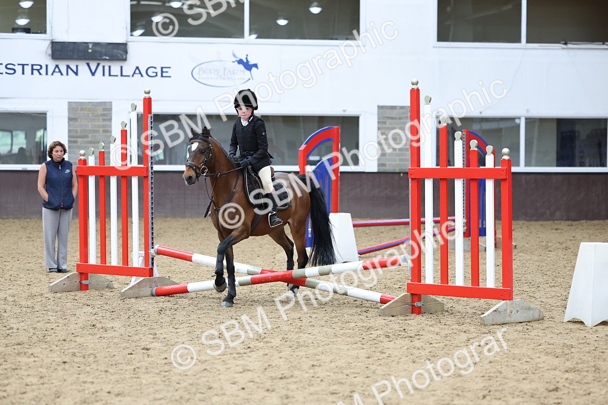 SBM_007749 - Class 3 - 60cm showjumping