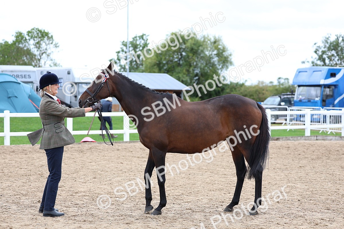 SBM_05062 - Class 27 - IH Competition Horse or Pony