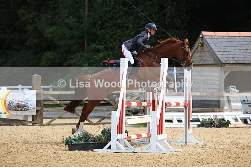 3E7A1384 - Class 4: Senior British Novice/90cm open