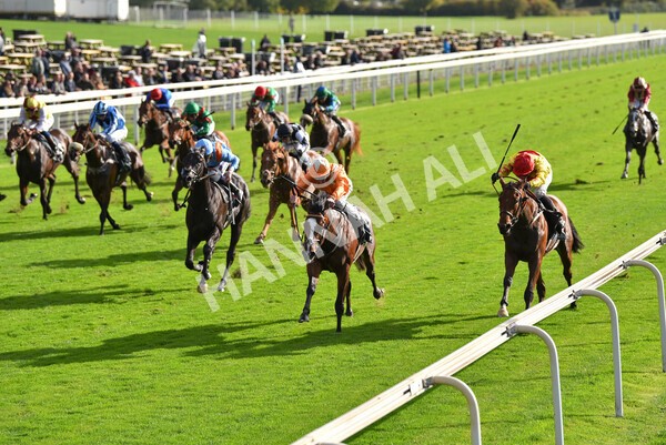 yr07102022r3-26 - Race 3 3.15pm British EBF £100,000 2yo Series Final (Colts and Geldings)