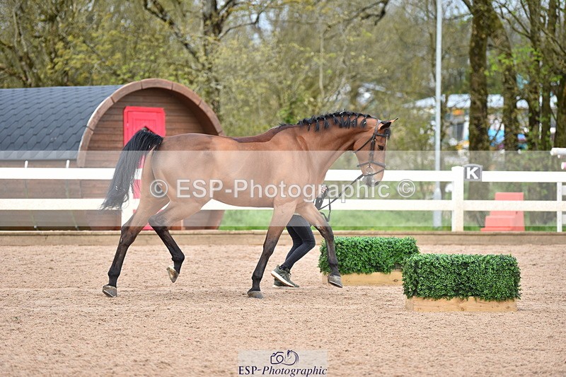 240417A-143404-00562 - 2pm to 3pm