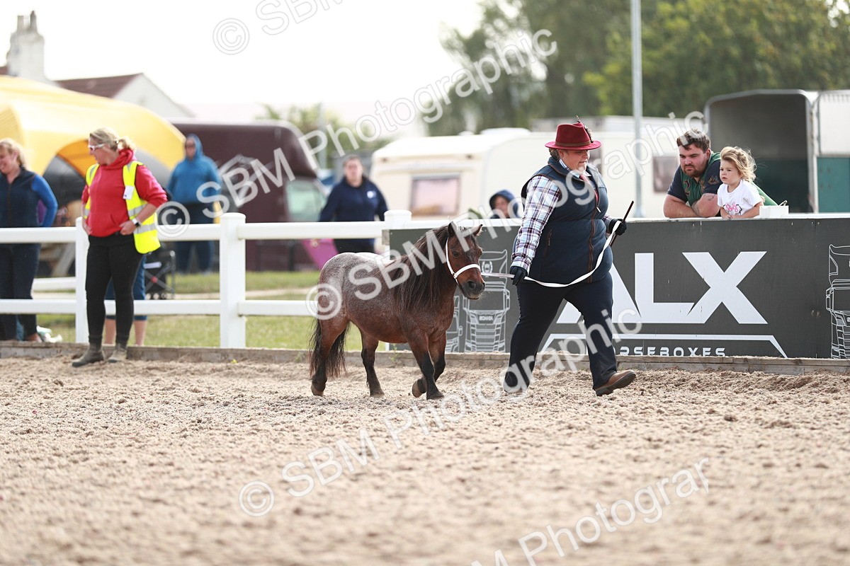 SBM_13885 - Class 209 IH Veteran Pony