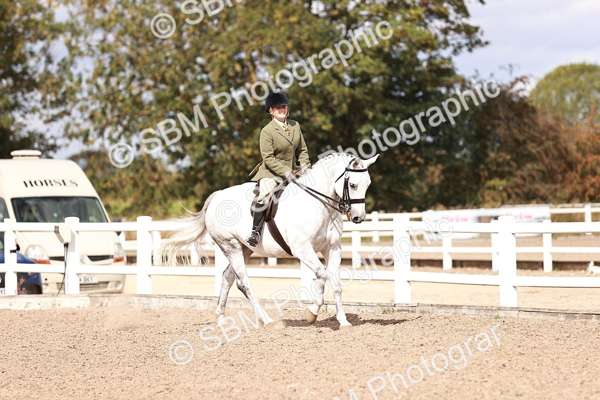SBM_14424 - Class 410 - Grassroots Ridden - Horse