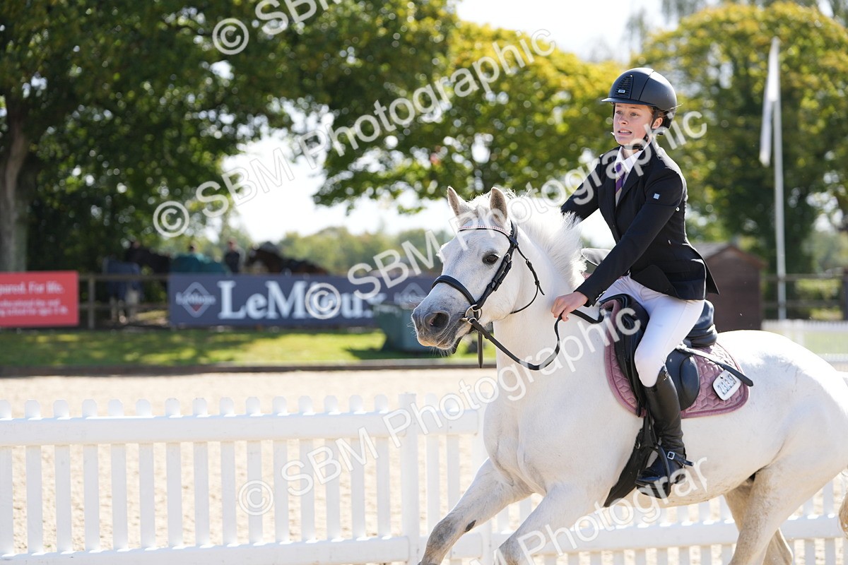 SBM_38404 - J6 - Junior Pony 55cm Championship