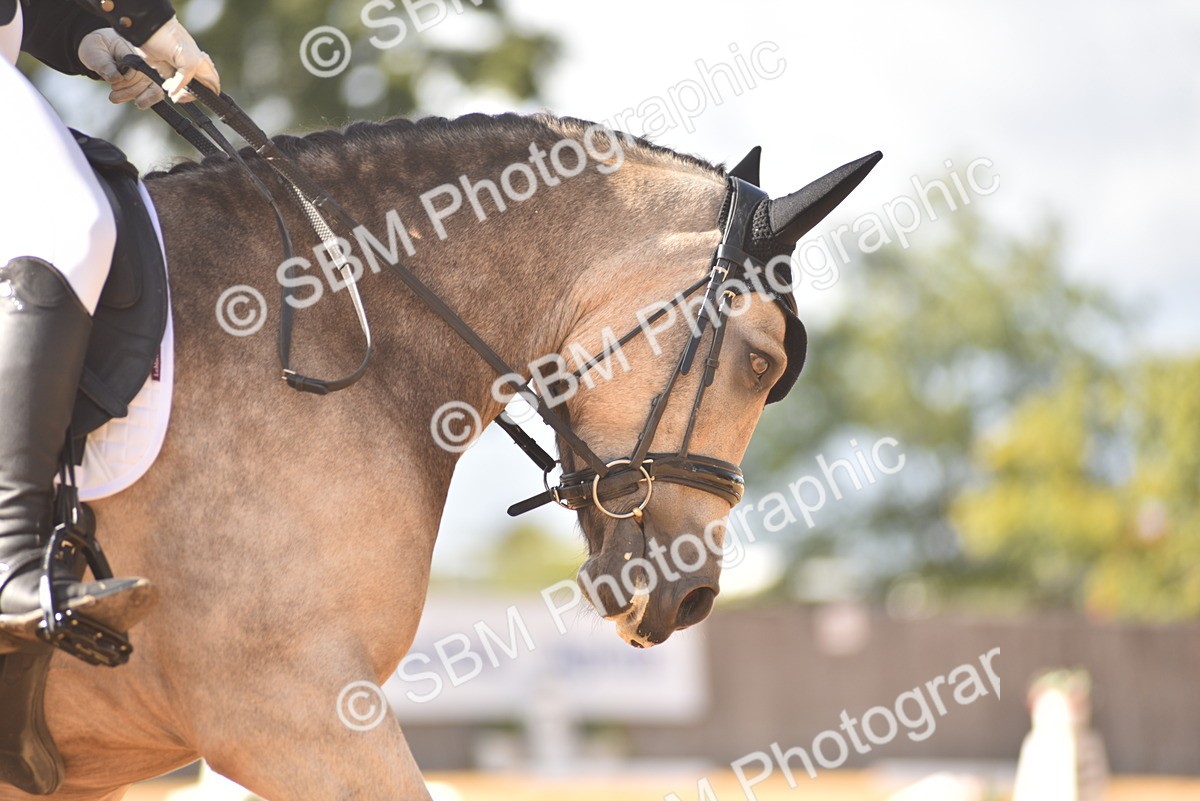 SBM_24276 - D4 - Small Tour Championship Intro 4