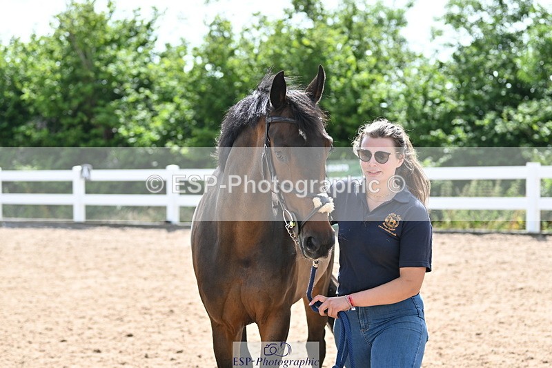 240717A-152221-02791 - Trot Up 3pm to 4pm