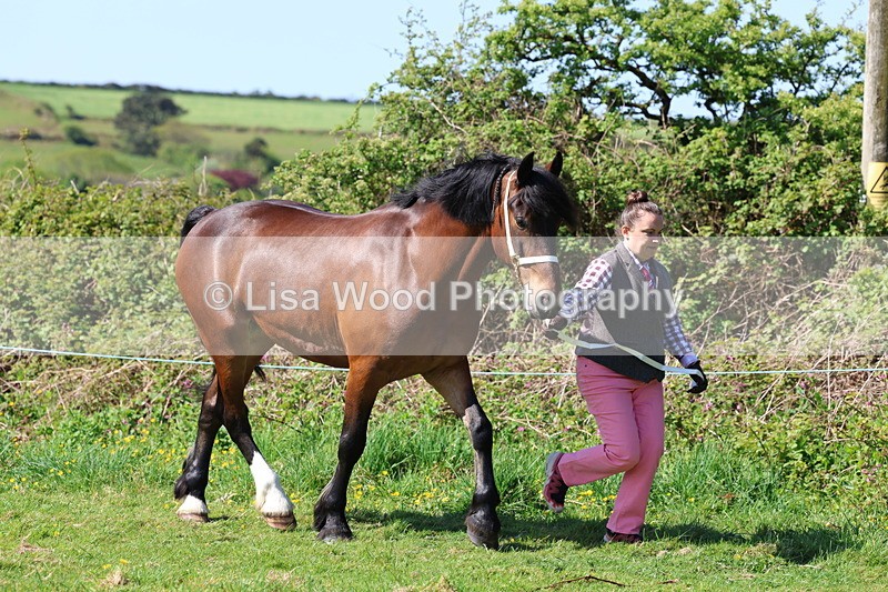 3E7A9434 - Class 16: Best Grass Kept