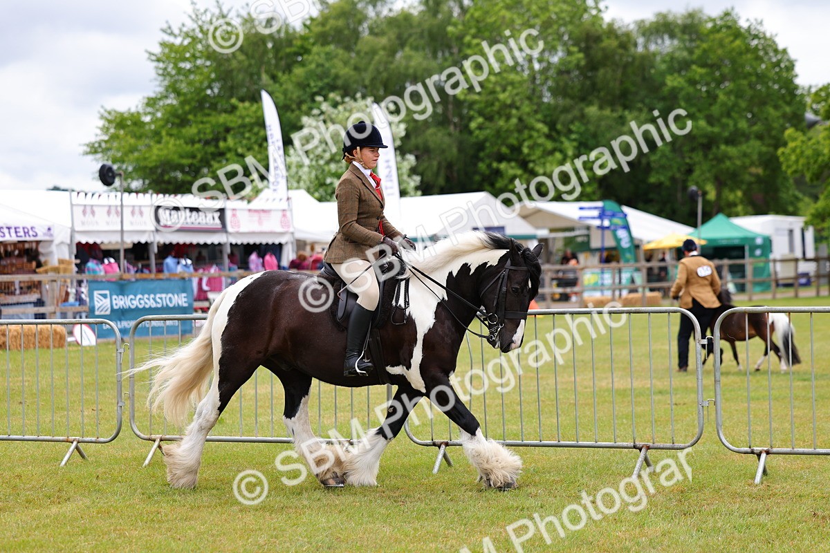 SBM_02600 - Class 9-11 Side Saddle including LIHS Rising Star Ladies Show Horse