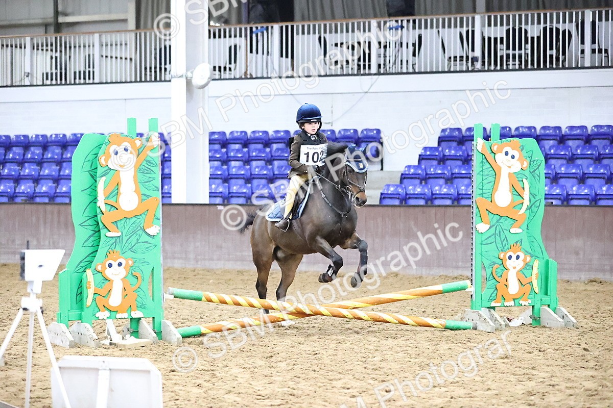SBM_000091 - Class 2 - The Rug Lady 40cm Area 12 Championship Qualifier