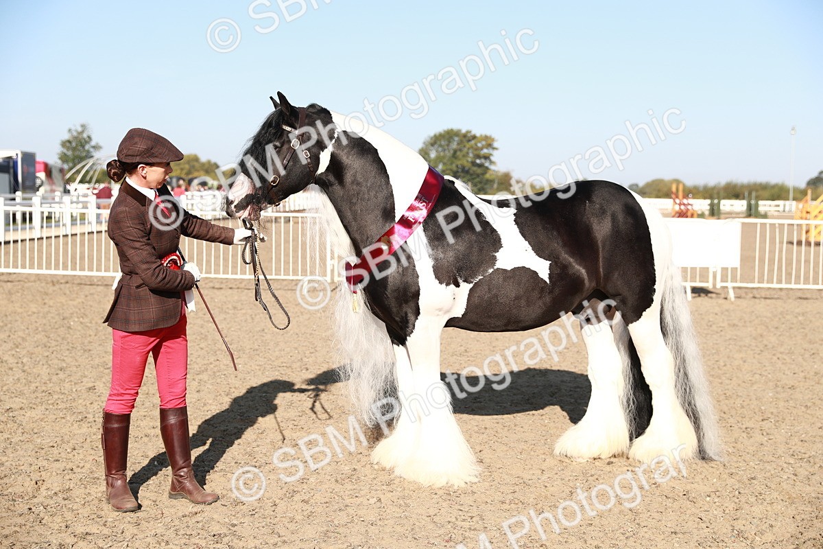 SBM_00094 - Class 40 Best Turned Out IH