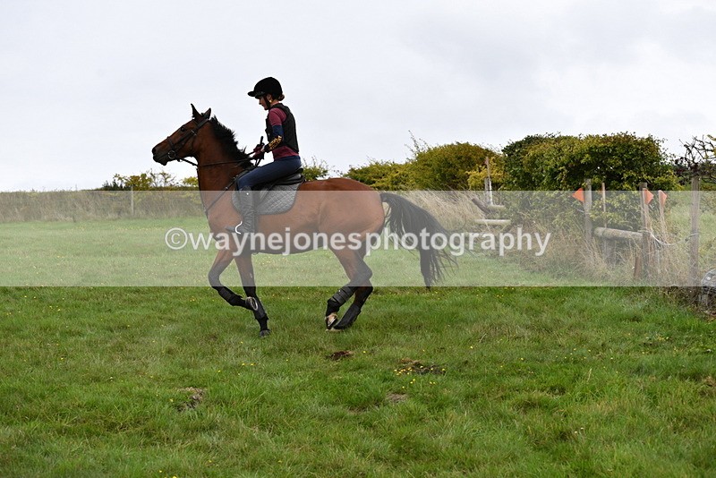 WJ5_6768 - Time 13:13 to 13:29