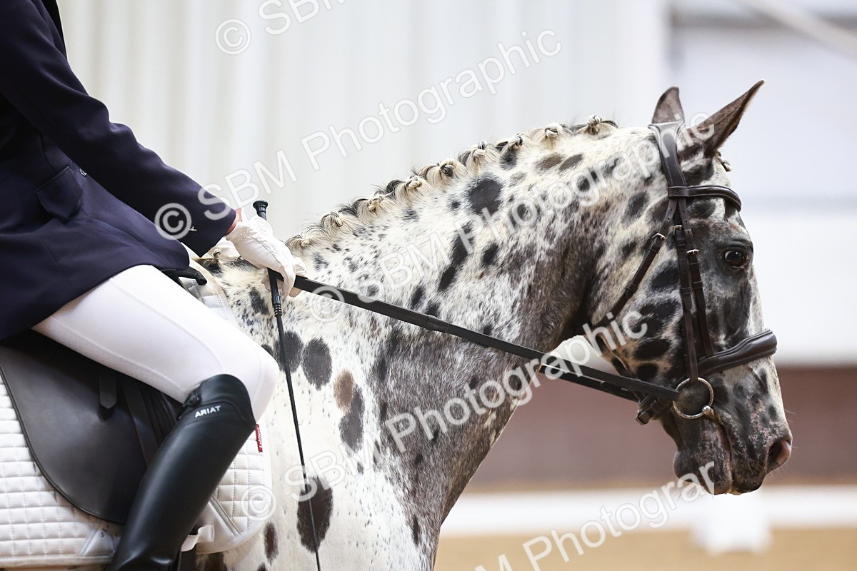 0B8A8595 - Class 1 - Intro 1