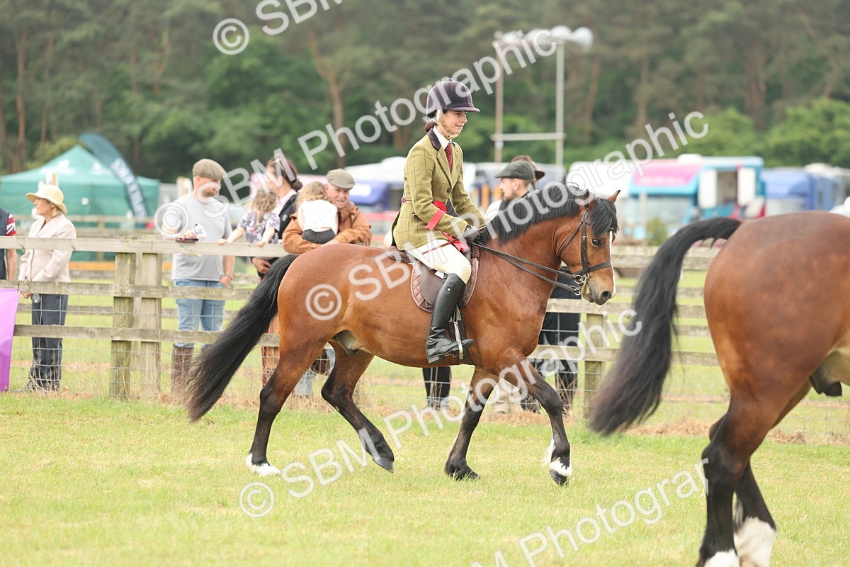 SBM_07273 - Class 76-77 - Ridden M&M Welsh Ponies