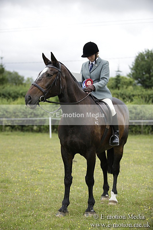 BVR160717-1561 - Ring 1 BVRC Show 16/07/17