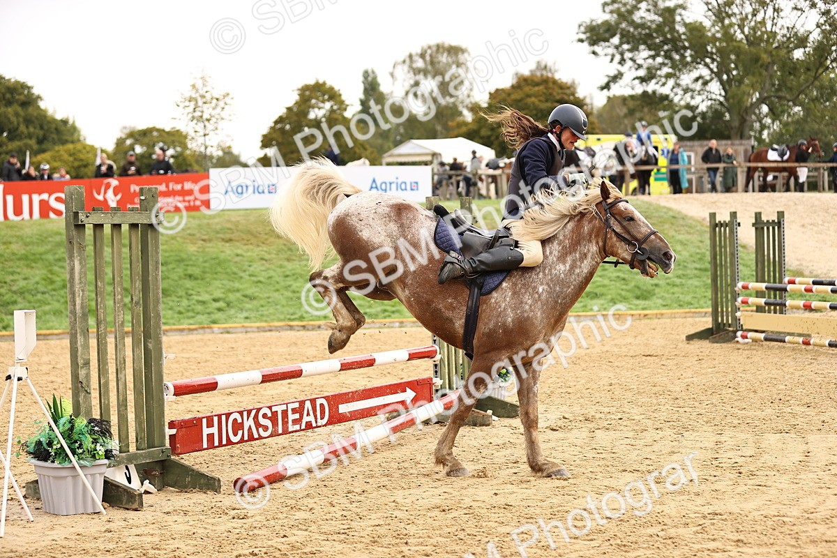 SBM_58412 - J41 - Grand Tour Horse & Pony 95cm