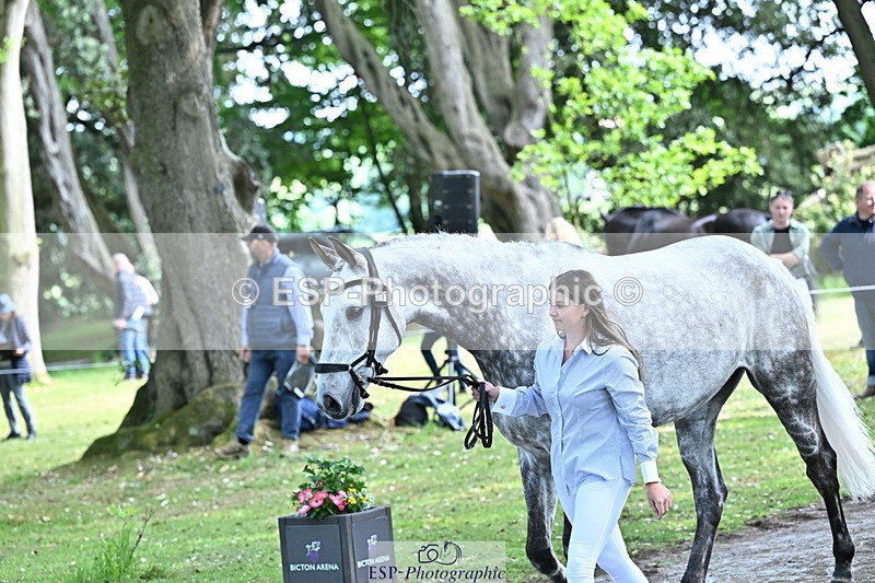 250521A-155325-00826 - B-377-Millie.Juleff-CFH.DAKAR.HILL