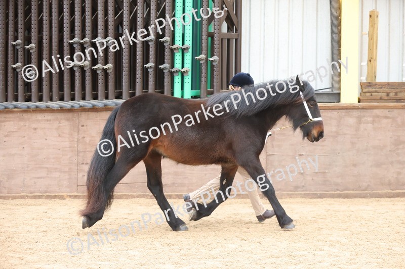 20251109-0921 - Class 26 - 2 and 4 Year Olds