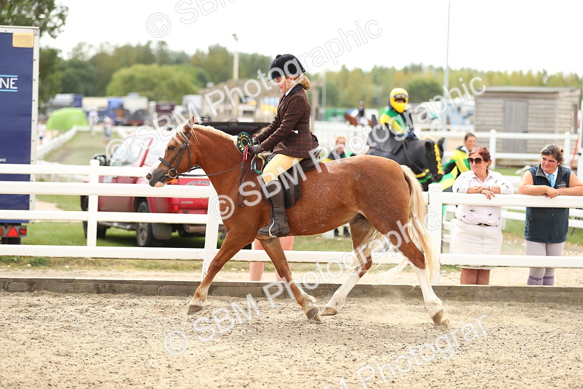 SBM_04810 - Class 46b Style & Performance 50cm (20+)