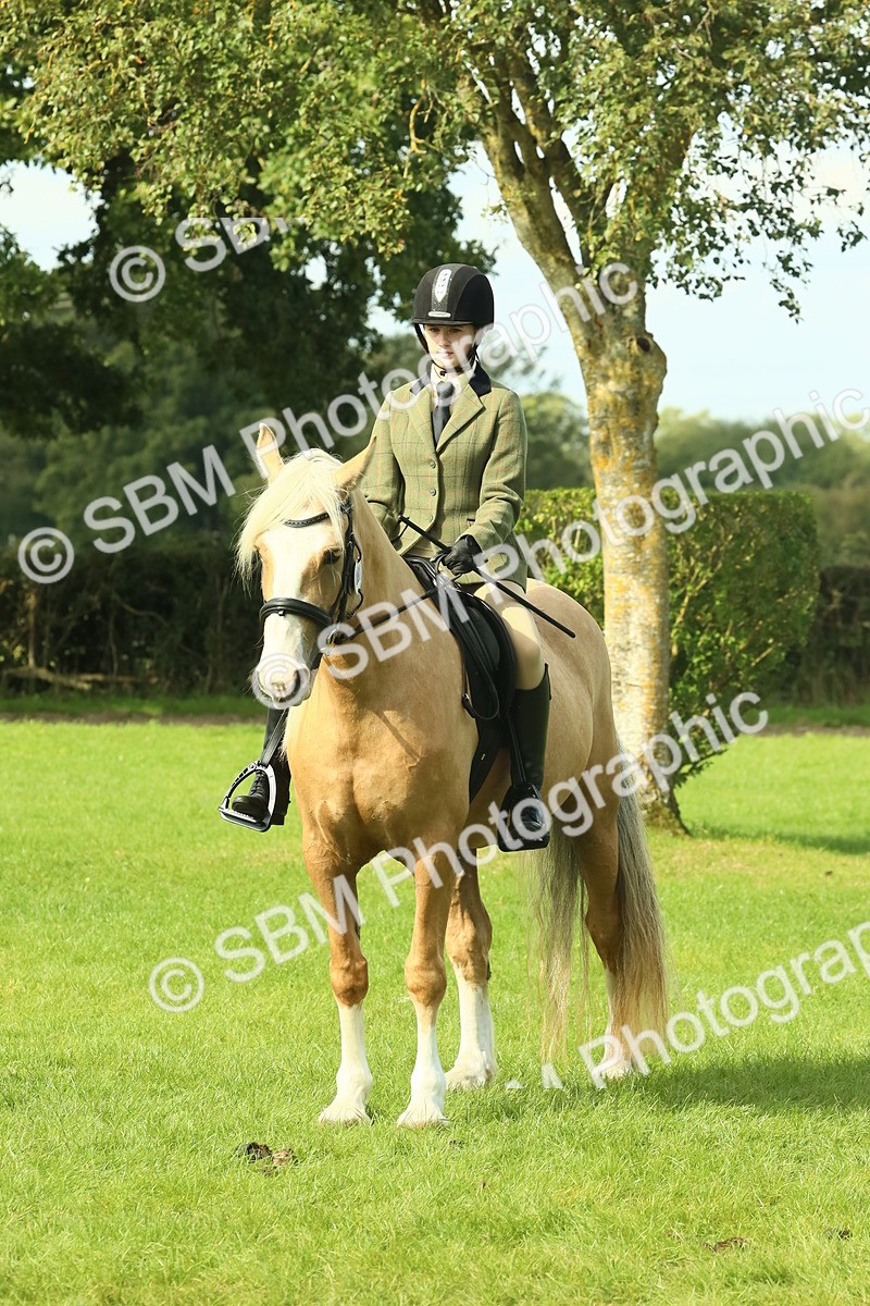 SBM_62671 - S63 - Other Coloured Horse Ridden