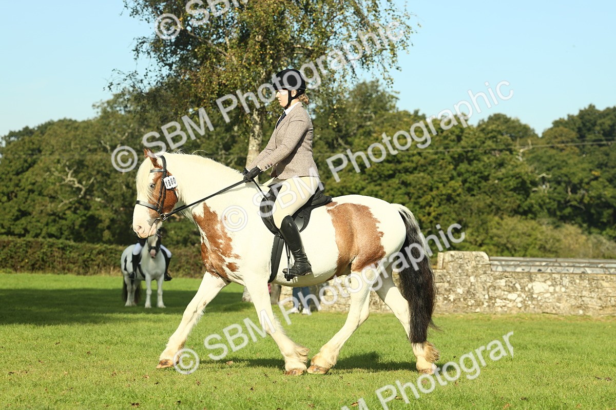 SBM_59902 - S38 - Starters Ridden Showing