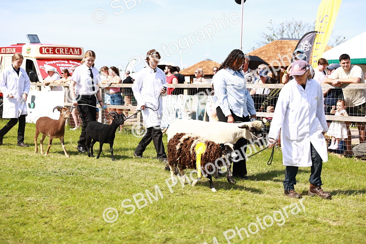 SBM_08307 - Grand Parade