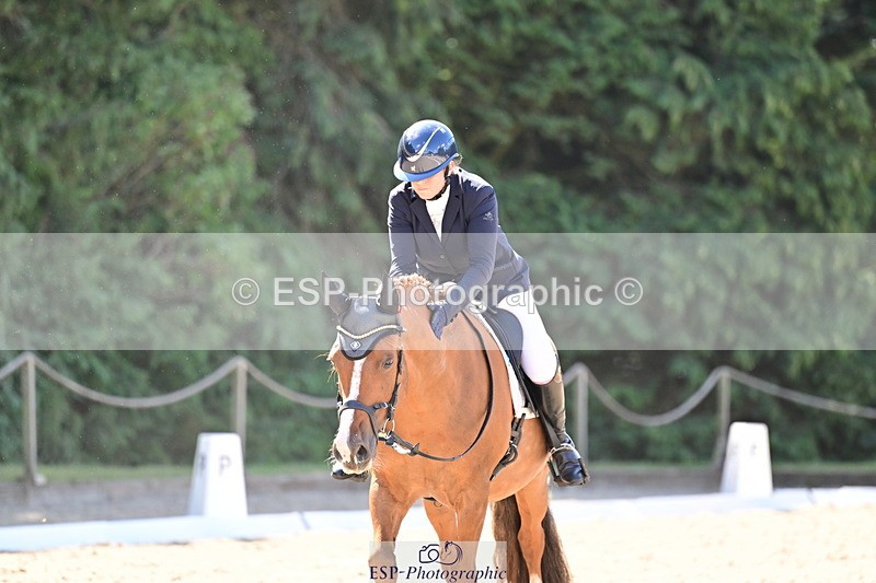 260731A-111833-00310 - Elementary Bronze 10.30 - Break