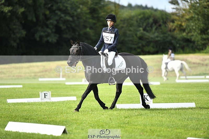 230826-094733-15234 - Sections C & D 9 to 10am