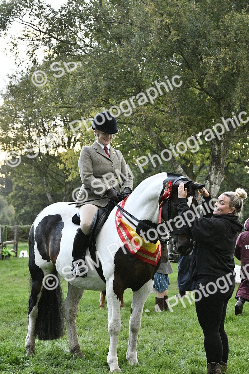 SBM_53338 - S14 - Riding Club Horse